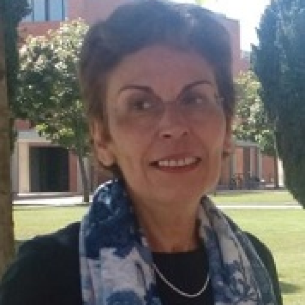 Ana Barros Timmons  