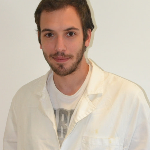 Pedro Pereira