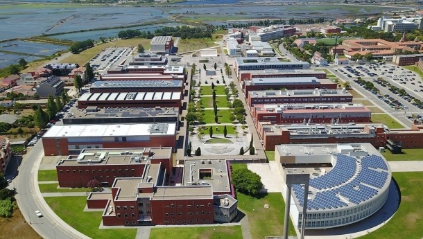 UA