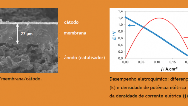 WinAminão